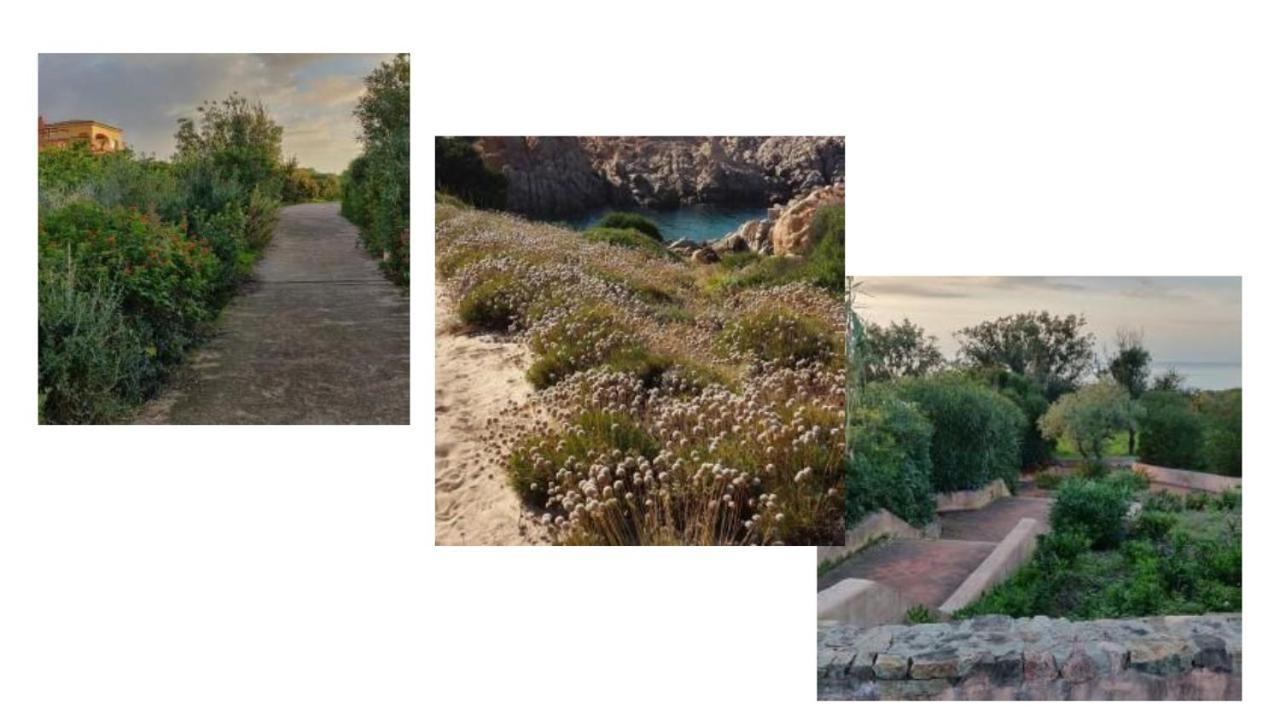 Vacanze In Natura Incontaminata "Casa Vacanza Francesca" Ізола-Росса Екстер'єр фото